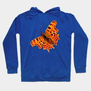 Comma Butterfly Hoodie